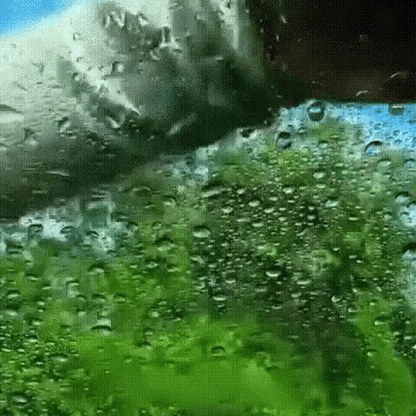 Cepillo antiempañante deluxe - restaura tus vidrios y evita accidentes - HOUSE SHOP